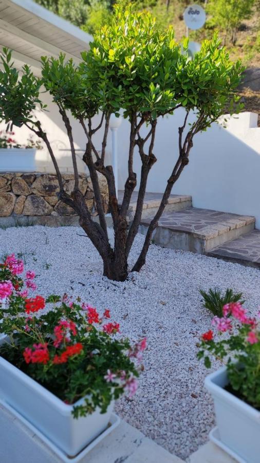 Casa L'Ulivariu Affittacamere San Teodoro (Sardinia) Exterior foto