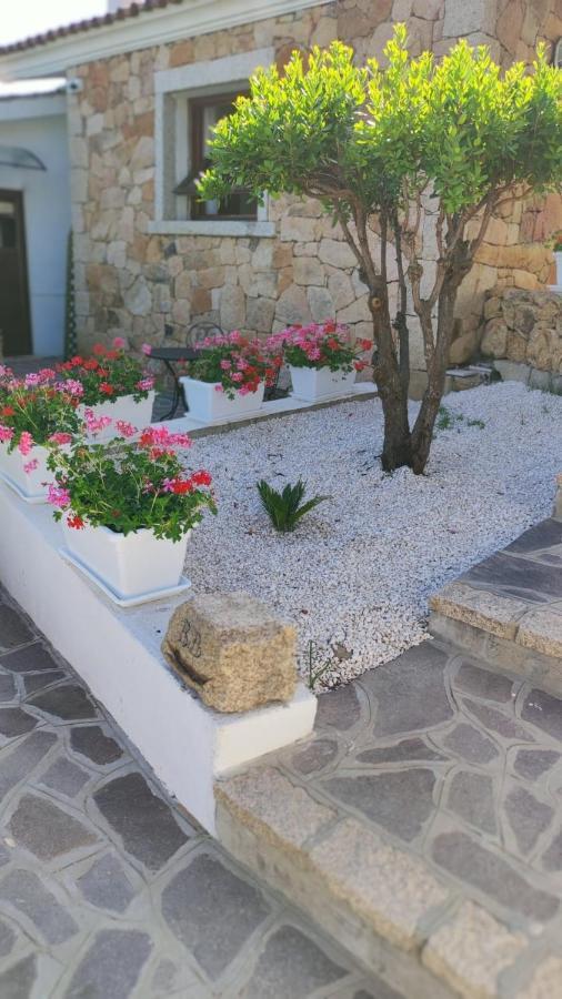 Casa L'Ulivariu Affittacamere San Teodoro (Sardinia) Exterior foto