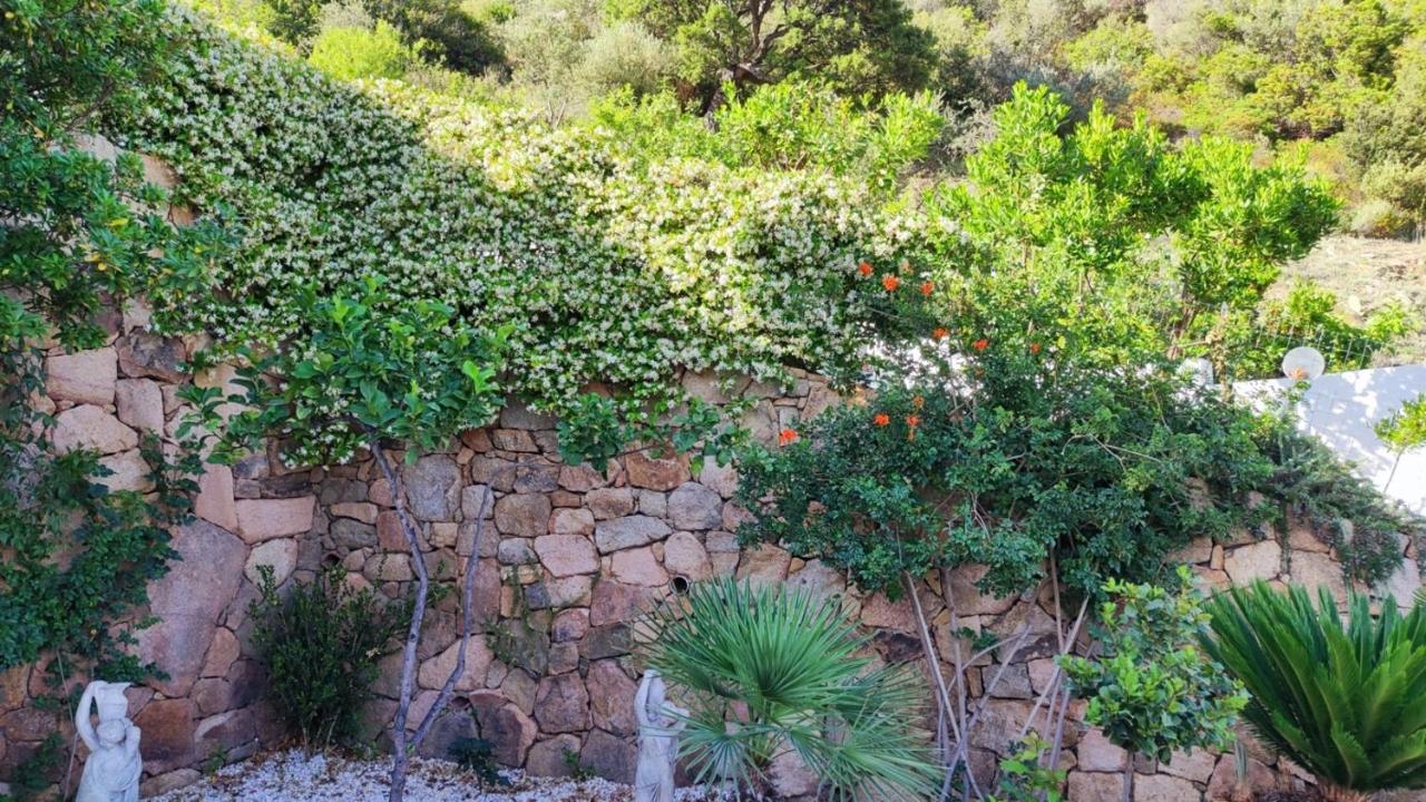 Casa L'Ulivariu Affittacamere San Teodoro (Sardinia) Exterior foto
