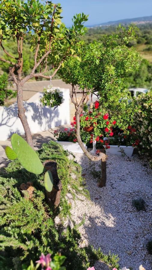Casa L'Ulivariu Affittacamere San Teodoro (Sardinia) Exterior foto