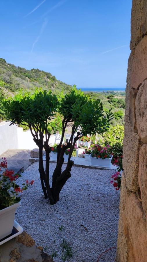 Casa L'Ulivariu Affittacamere San Teodoro (Sardinia) Exterior foto